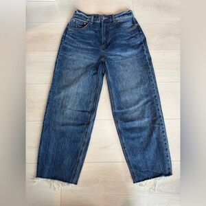 Aritzia Denim Forum - The Gia High Rise Carrot Jeans, Size 27